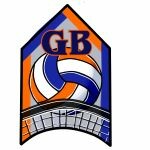 volleyball graphic